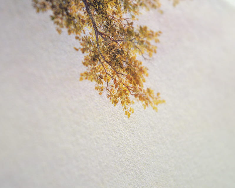 Bamboo, 110g (Sima bambusz mosás)  12