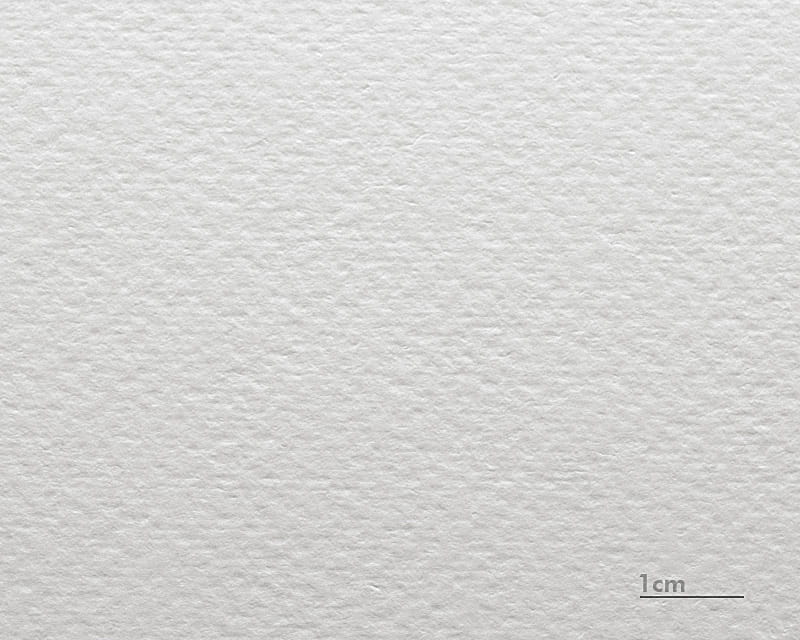 Akvarell Karton Renoir (Museum Watercolor 310)  1