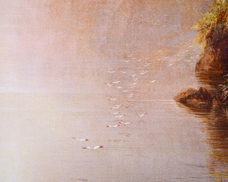 FineArt Fotó Fényes (PGC 310 FD)  29