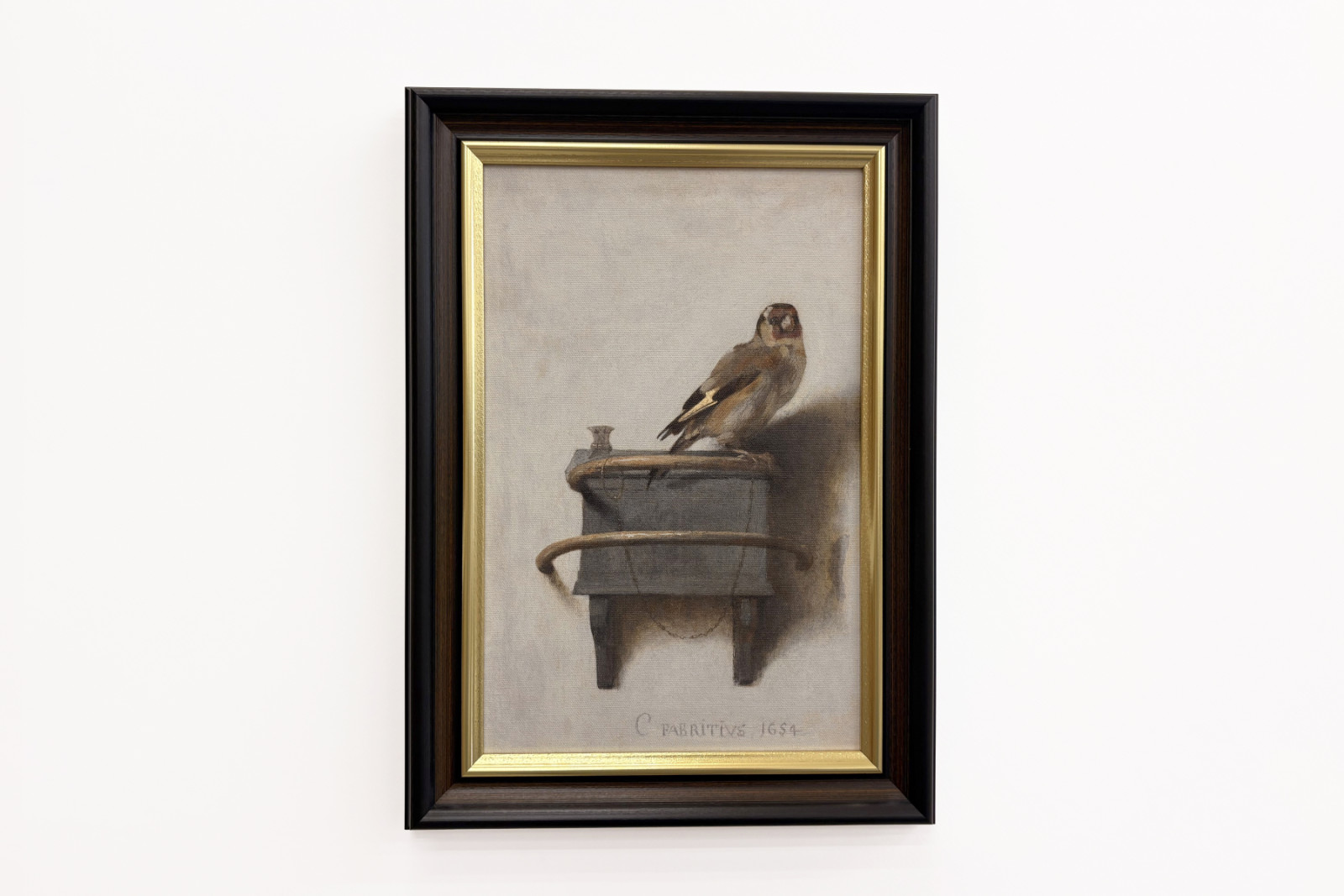 Az aranypinty, 1654 - Carel Fabritius