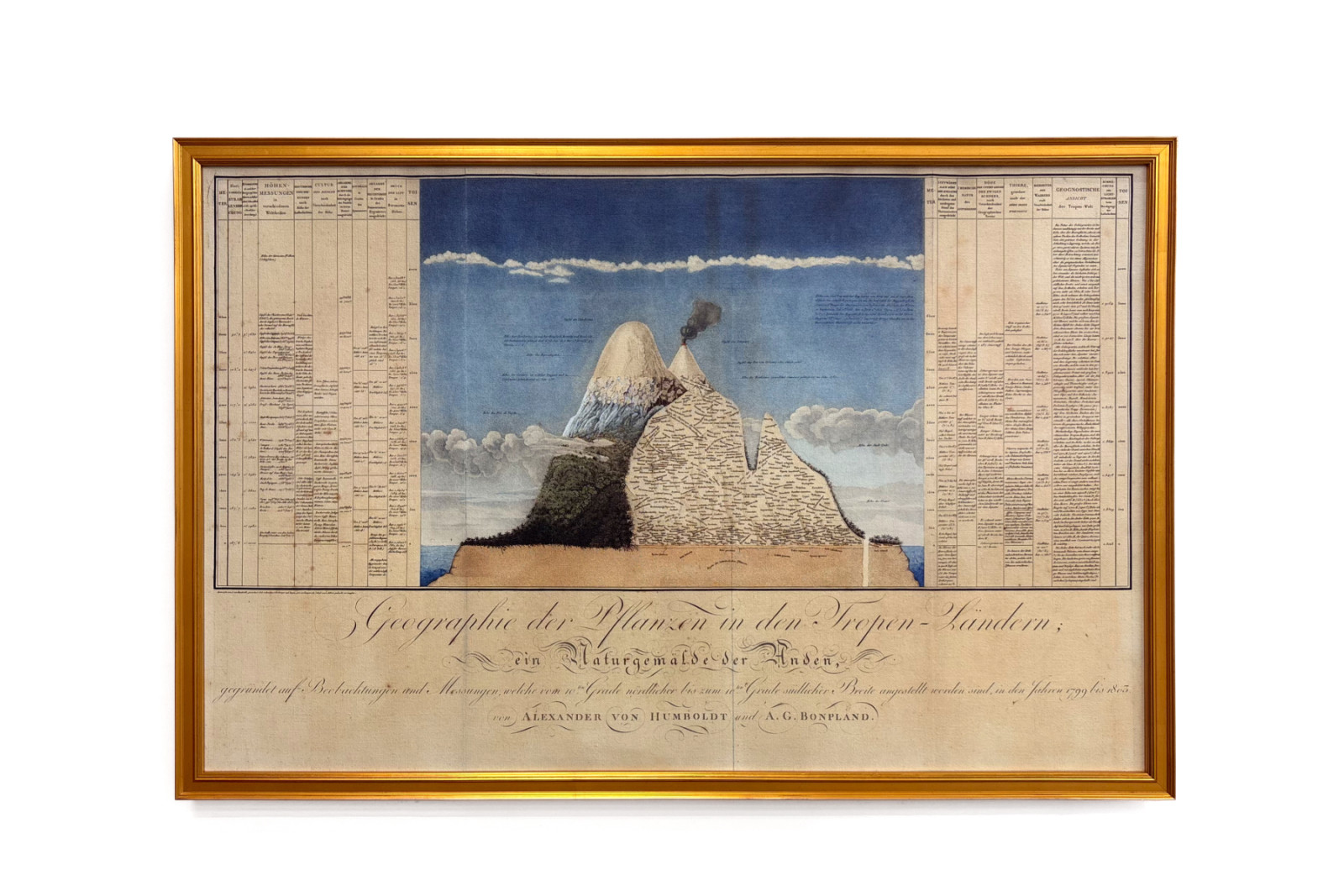 A növények földrajza a trópusi országokban, az Andok tanulmánya, Schoenberger és Turpin rajza, Langlois nyomtatása, Párizs - Baron Friedrich Alexander von Humboldt