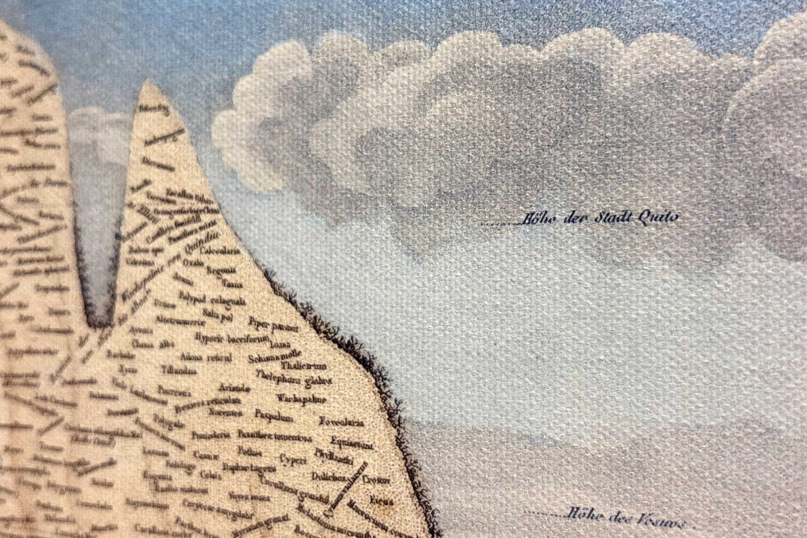 A növények földrajza a trópusi országokban, az Andok tanulmánya, Schoenberger és Turpin rajza, Langlois nyomtatása, Párizs - Baron Friedrich Alexander von Humboldt