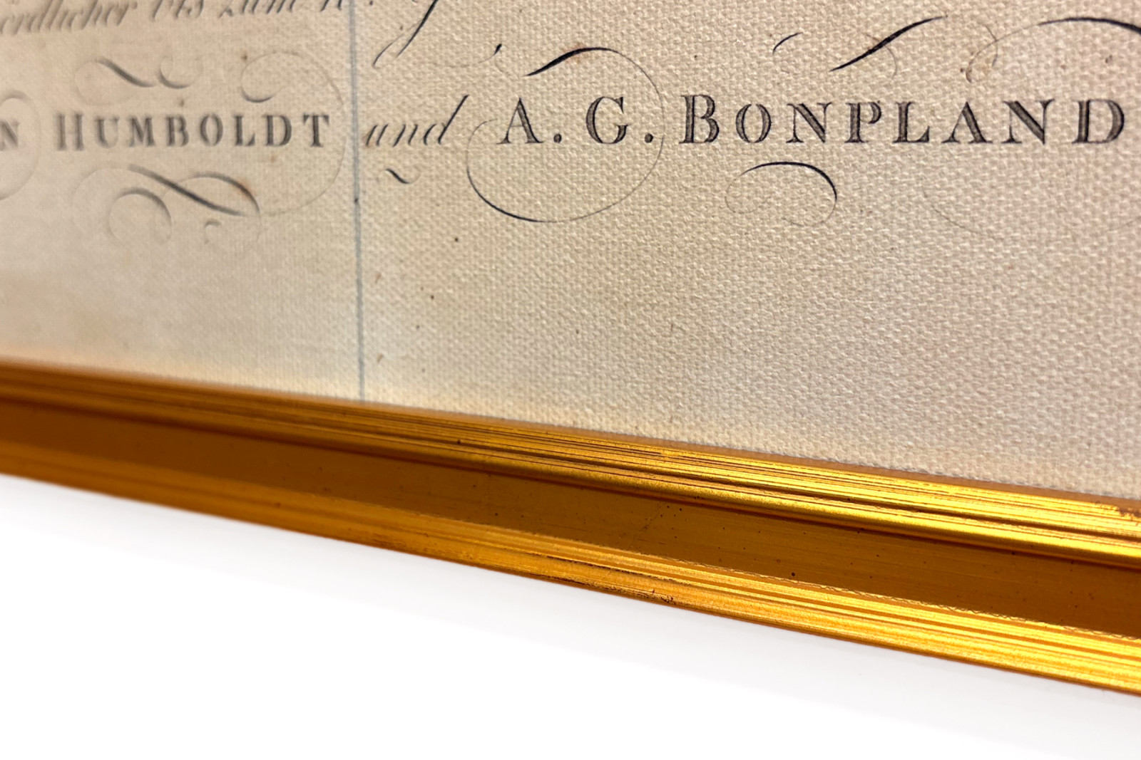 A növények földrajza a trópusi országokban, az Andok tanulmánya, Schoenberger és Turpin rajza, Langlois nyomtatása, Párizs - Baron Friedrich Alexander von Humboldt