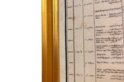 A növények földrajza a trópusi országokban, az Andok tanulmánya, Schoenberger és Turpin rajza, Langlois nyomtatása, Párizs