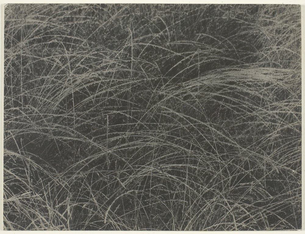 Egyenértékű, 1927. alkotó: Alfred Stieglitz