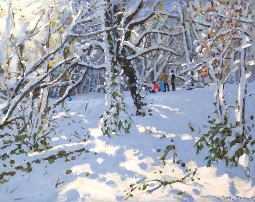 Karácsonyi szánkózás Allestree Woodsban, 16x20 ,2013 alkotó: Andrew Macara