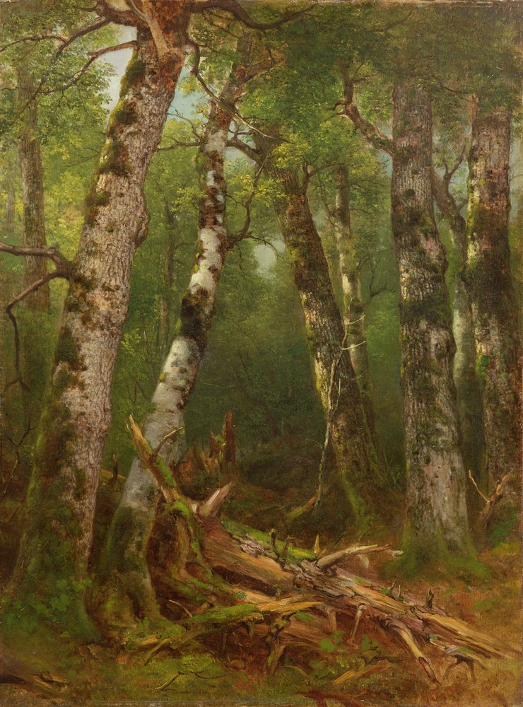Facsoport, 1855-77 alkotó: Asher Brown Durand