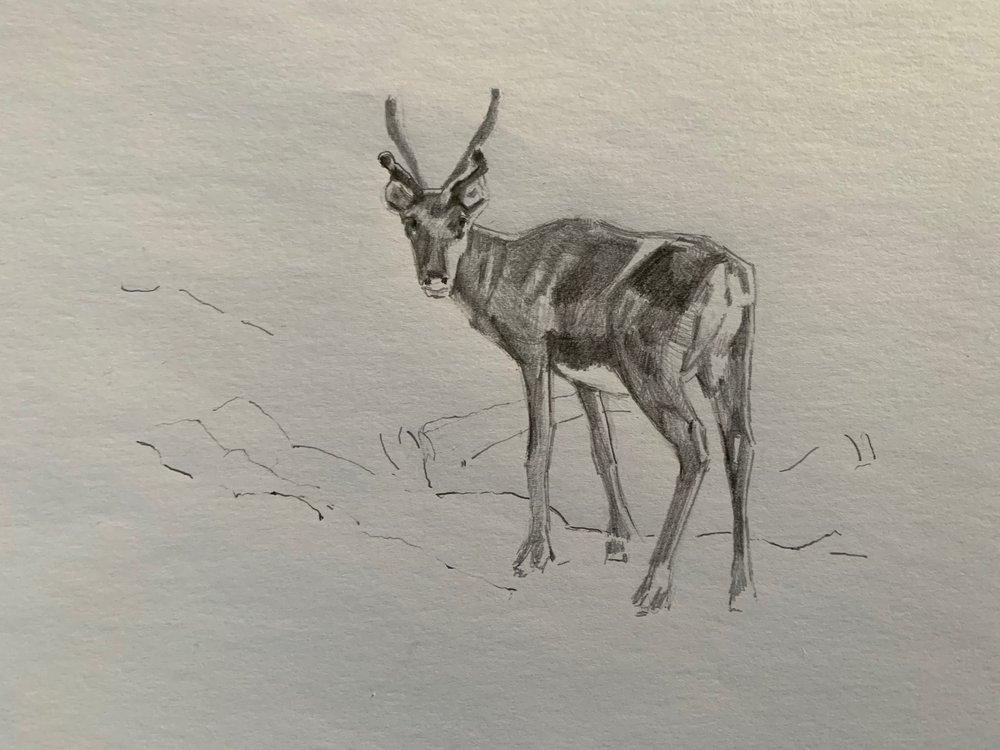 Rénszarvas, 2019 alkotó: Barbara Hoogeweegen