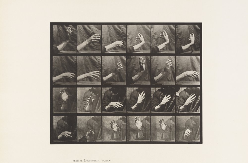535. tábla. A kéz mozgása; ütemverés, 1885 alkotó: Eadweard Muybridge