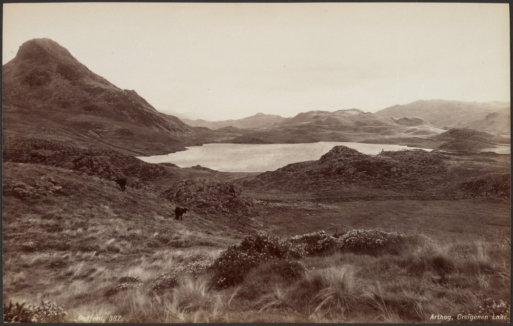 Arthog, Creigene-tó alkotó: Francis Bedford