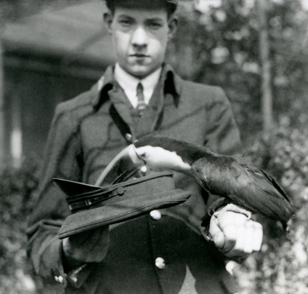 Egy vöröscsőrű tukán jegyet húz egy kalapból, amelyet C. Hersey állattartó tartott, Londoni Állatkert, 1923 (bw fotó) alkotó: Frederick William Bond