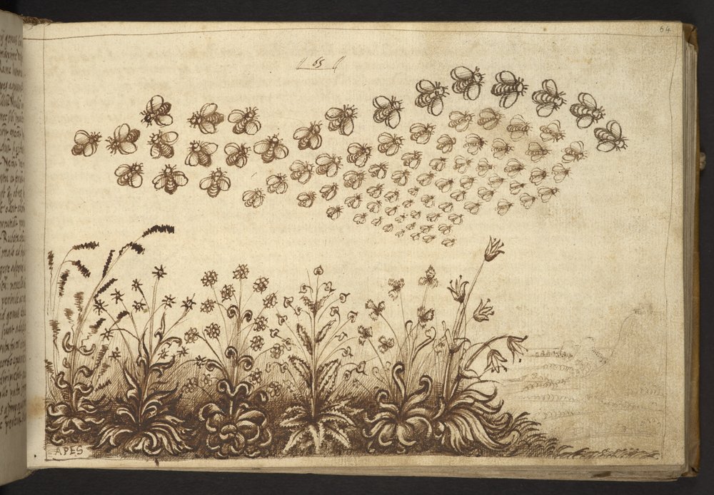 Hozzáadás. 82955, f.64 Méhek (