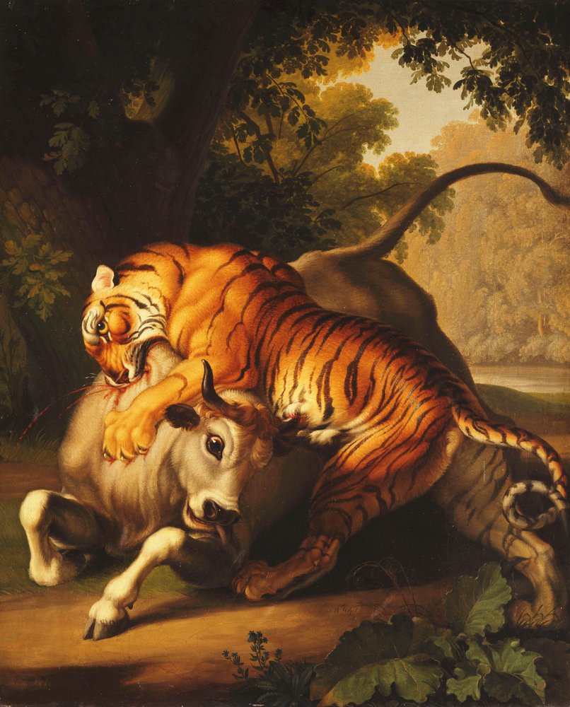 Bikára támadó tigris, 1785 alkotó: Johan Wenzel Peter