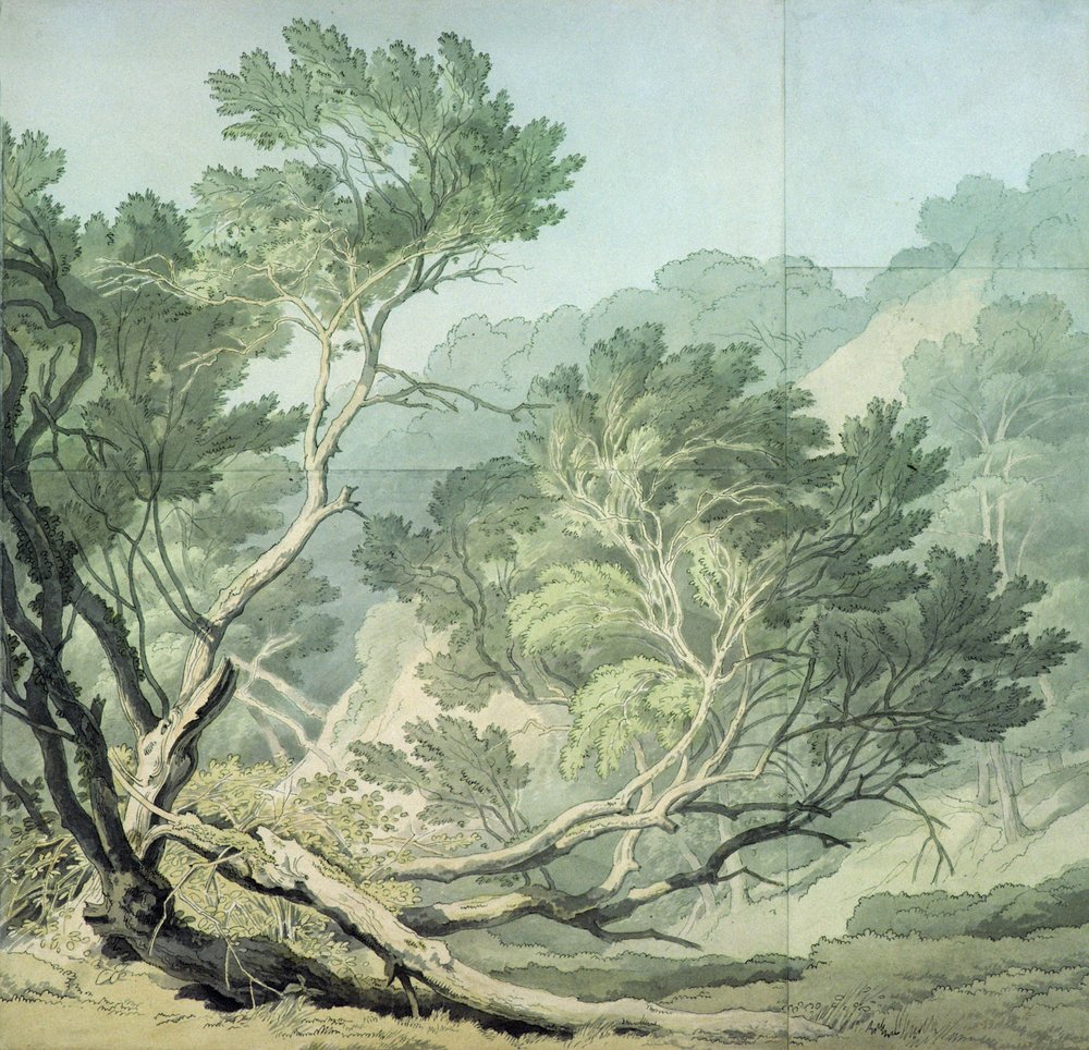 Kilátás Fordlands közelében, Exeterben alkotó: John White Abbott