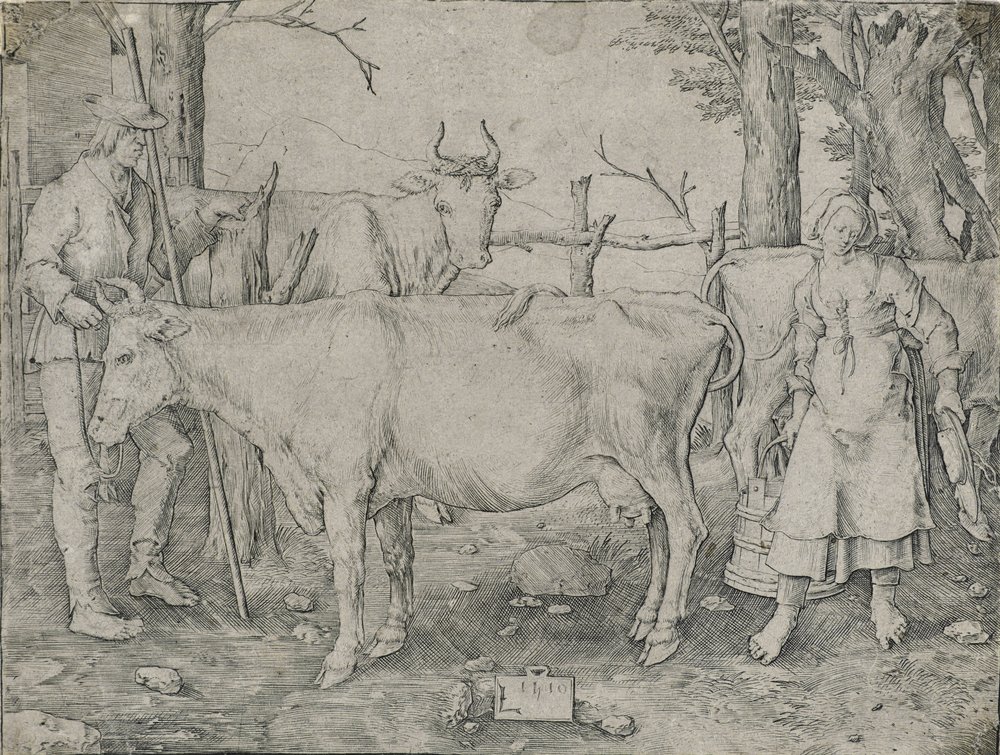 A tejeslány, 1510 alkotó: Lucas van Leyden