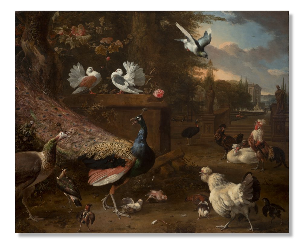 Menagerie, 1680 körül alkotó: Melchior de Hondecoeter