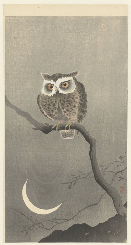 Scops bagoly egy ágon a félhold alkotó: Ohara Koson