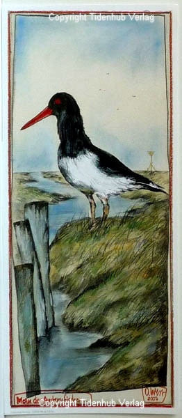 Szia, a csigaforgató alkotó: Ole West