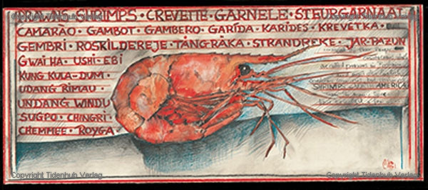 Garnélák alkotó: Ole West