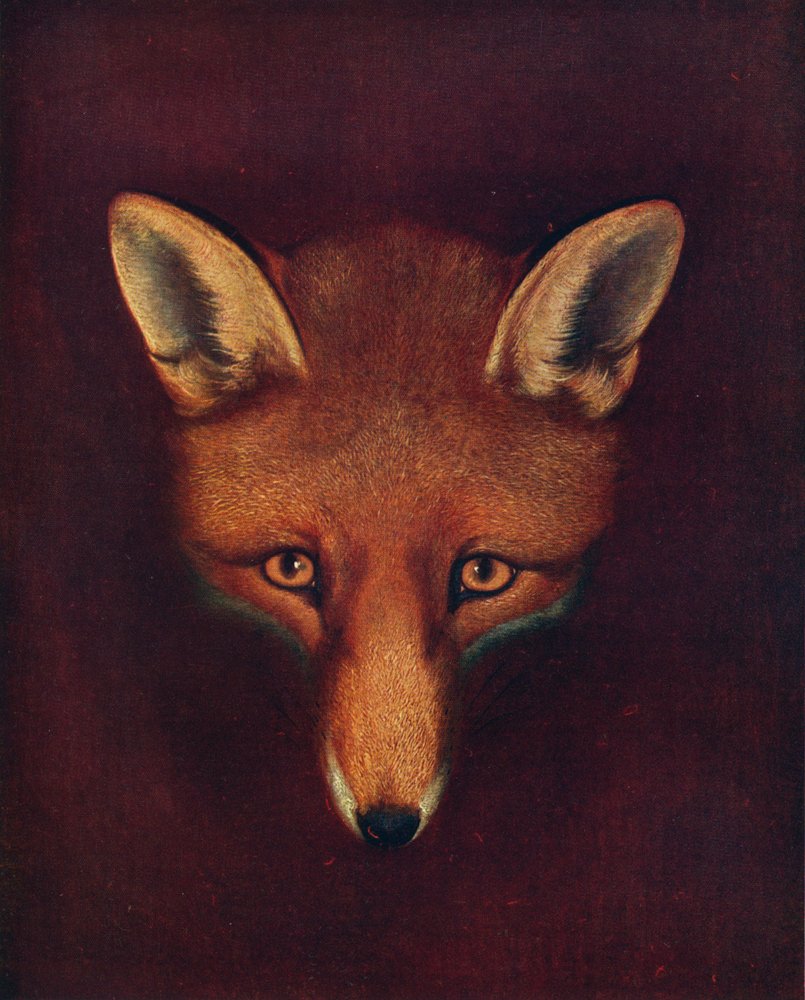 Renard, a róka, 1800 körül, 1922 alkotó: Philip Reinagle