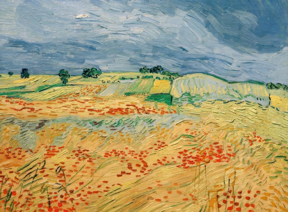 Virágzó mákos mezők alkotó: Vincent van Gogh