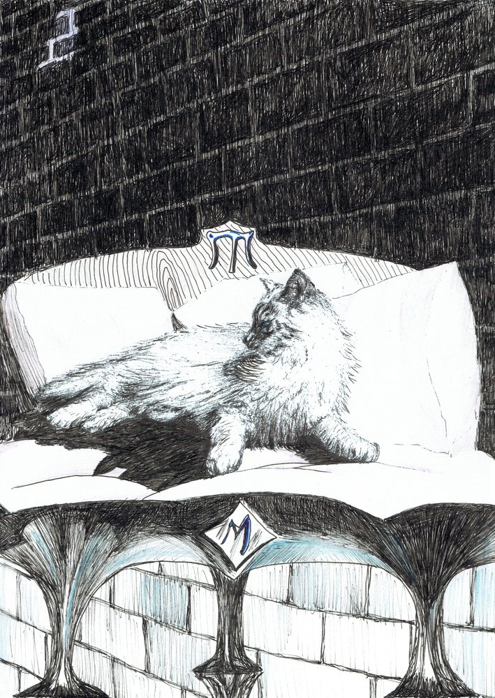 52. oldal, The Castle in the Forest of Findhorn, 2006, (tinta papíron) alkotó: Vincent Alexander Booth