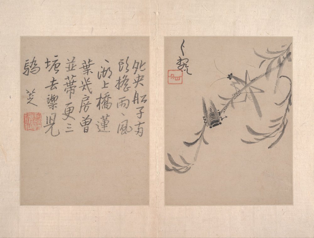 Különféle festmények albuma (tizenkét festményből álló album; tusmosás papírra) alkotó: Zhu da (attr.to) Bada Shanren
