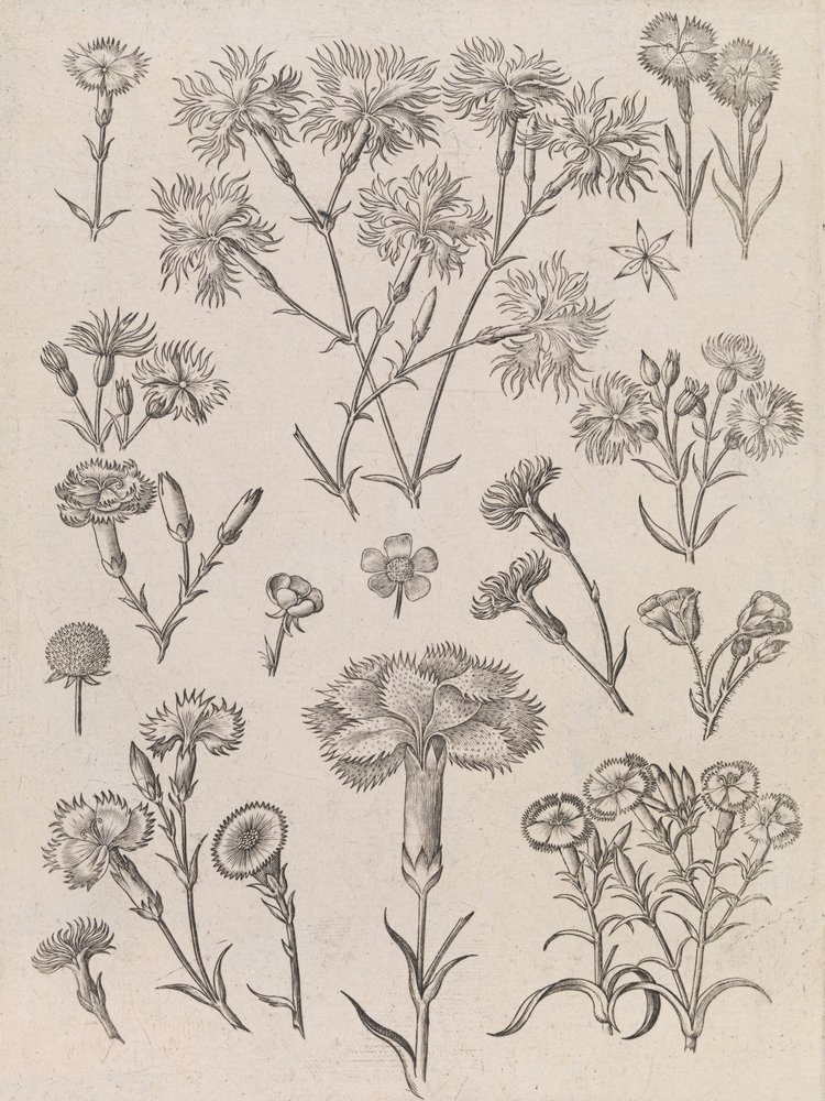  alkotó: Adriaen Collaert