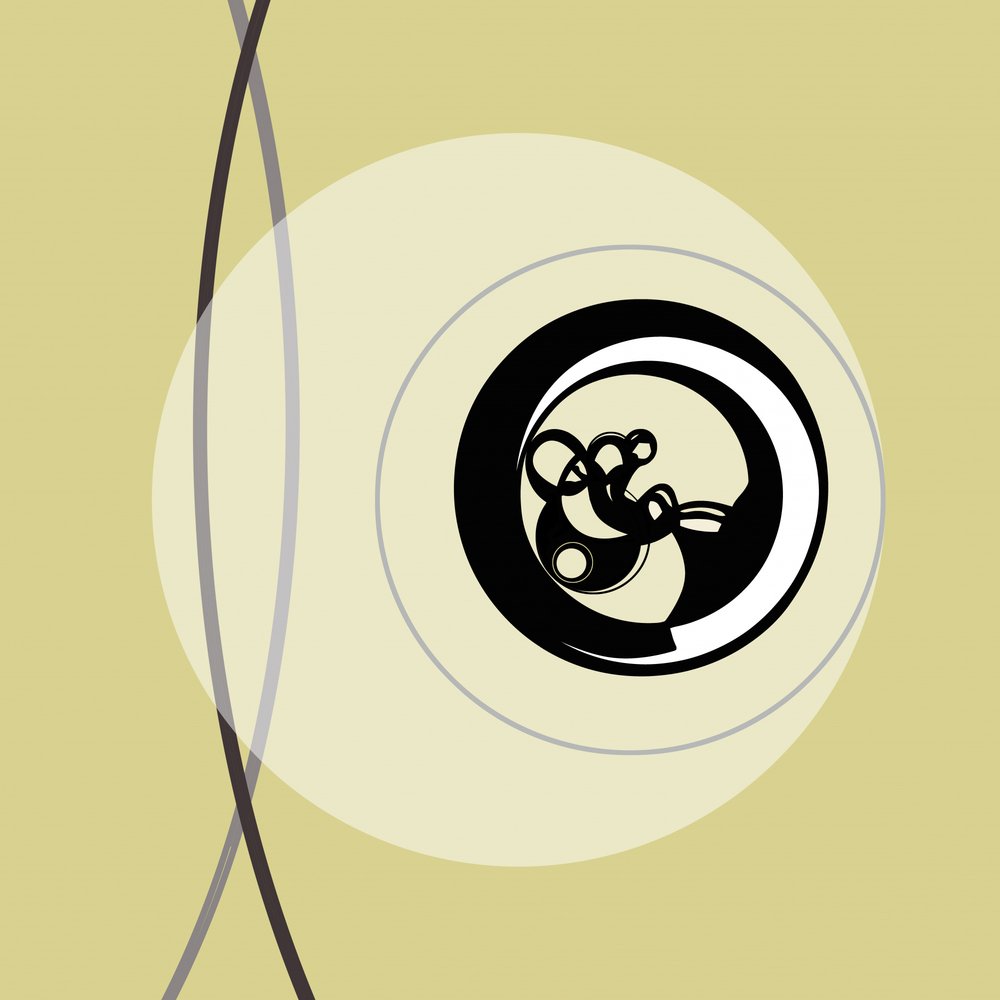 Absztrakt örvénykörök alkotó: Alejandra Winkhaus