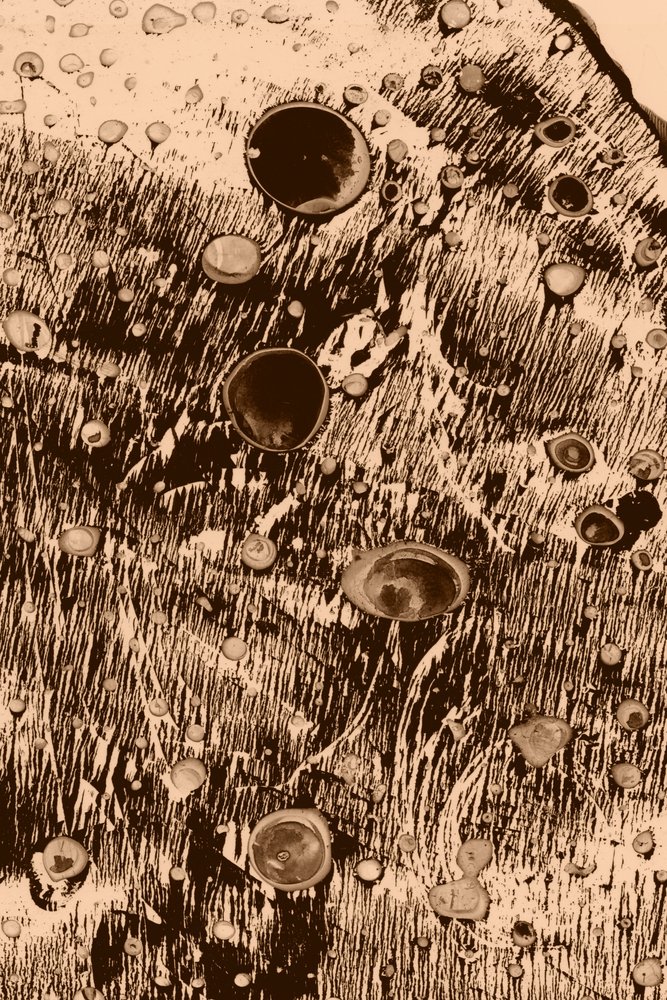 Oxigén alkotó: Alexander Adiels