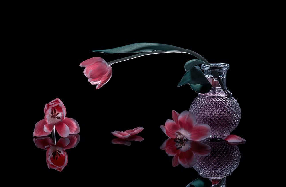Elegáns rózsaszín tulipánok alkotó: Alice Sheng