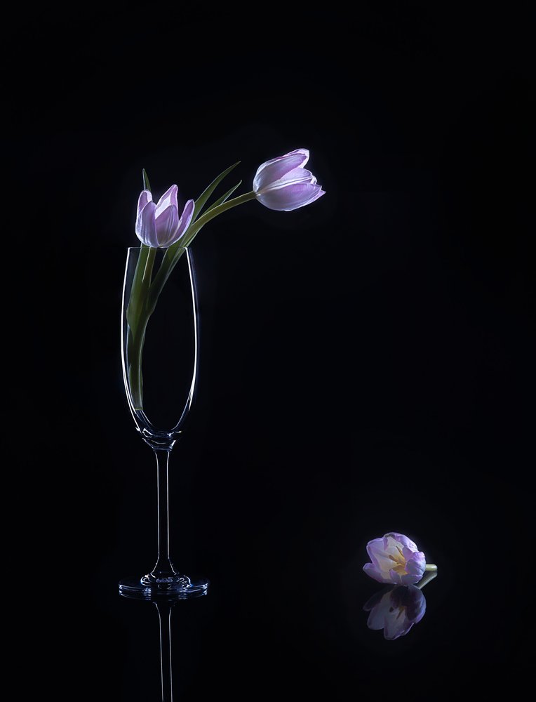 Elegáns lila tulipánok alkotó: Alice Sheng
