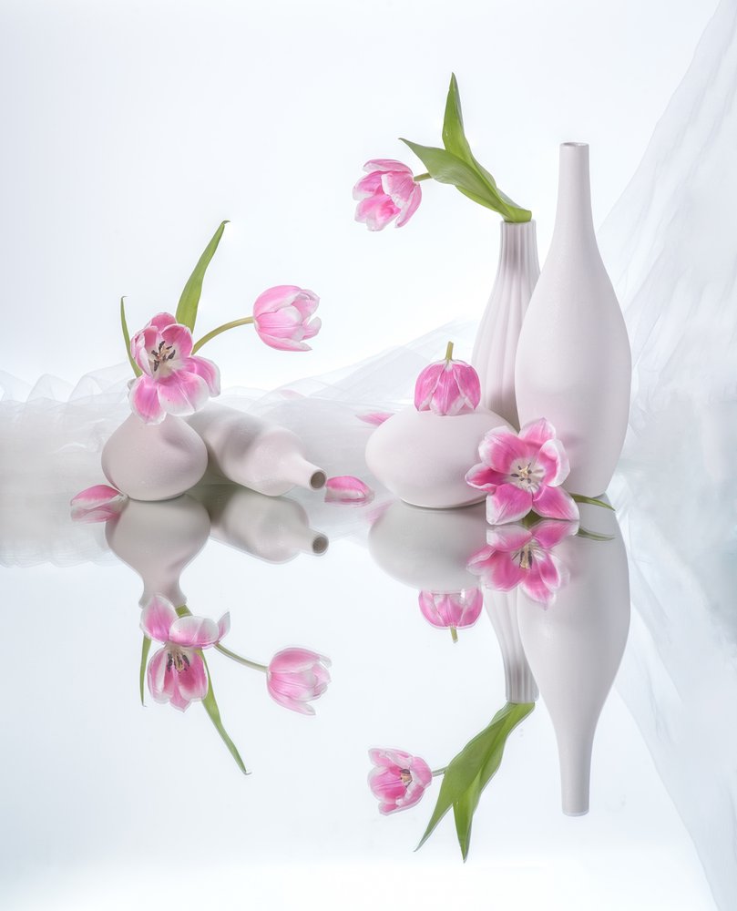 Rózsaszín tulipánok tükröződései alkotó: Alice Sheng