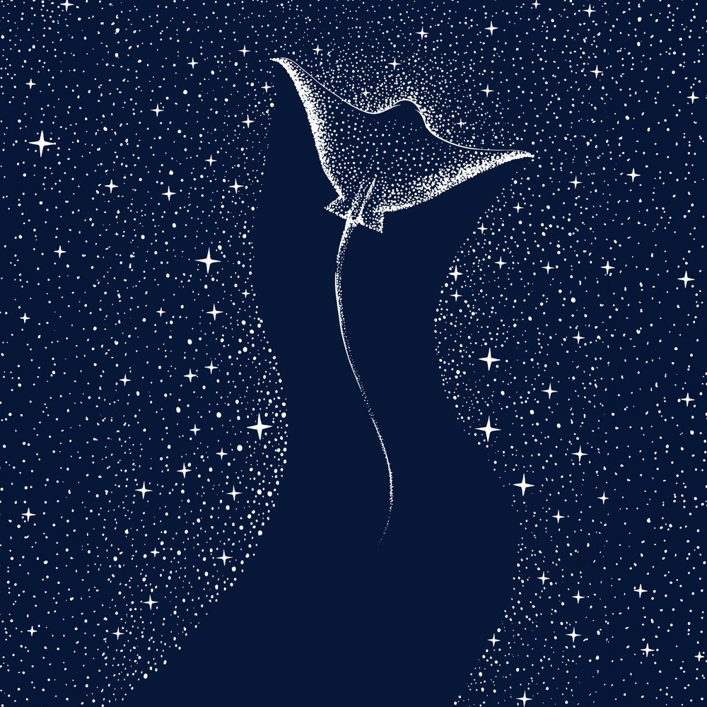 Kozmikus mantaraya alkotó: Alirıza ÇAKIR