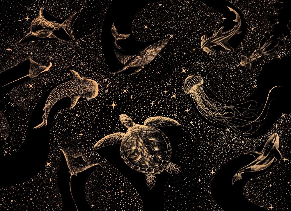 Misztikus Tengeri Galaxis alkotó: Alirıza ÇAKIR