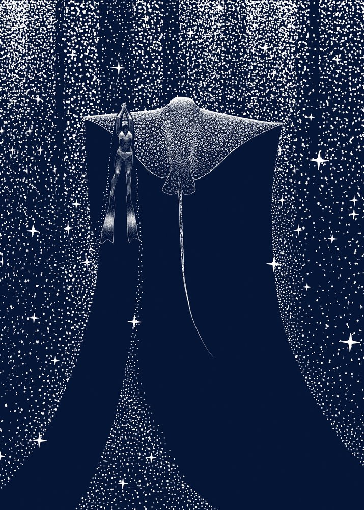 A Starlit Ray kísérője alkotó: Alirıza ÇAKIR