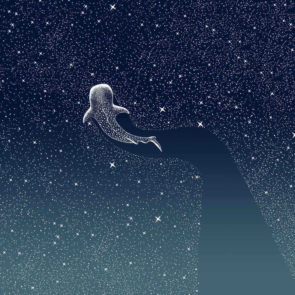 Bálnacápák galaxis alkotó: Alirıza ÇAKIR