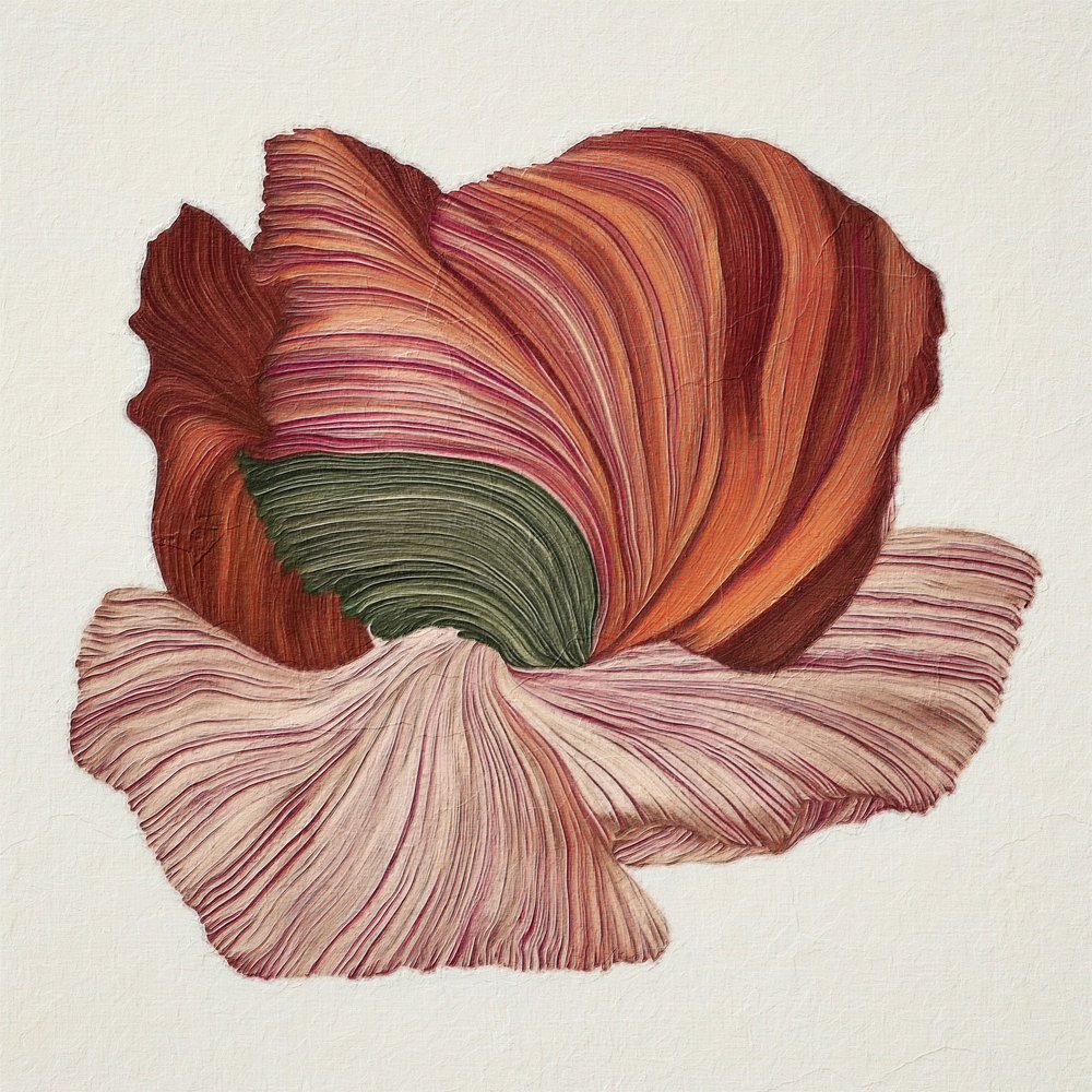 Színes bio virág alkotó: Alma