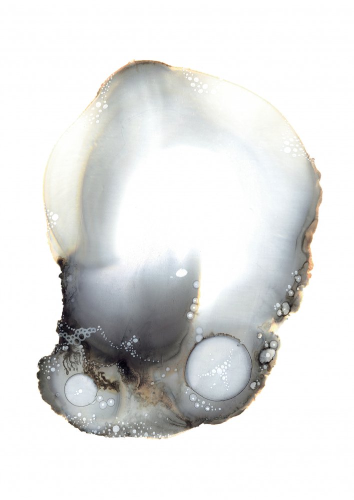 XI. minta alkotó: Amy Louise Baker