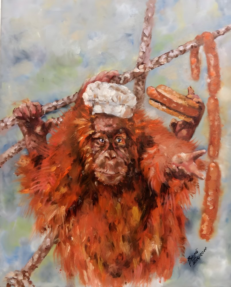 A vicces orangután séf alkotó: Anda Bieza