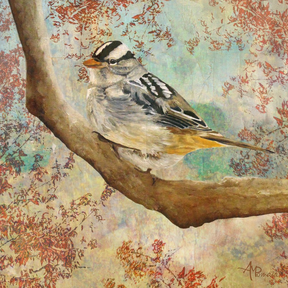  alkotó: Angeles M. Pomata