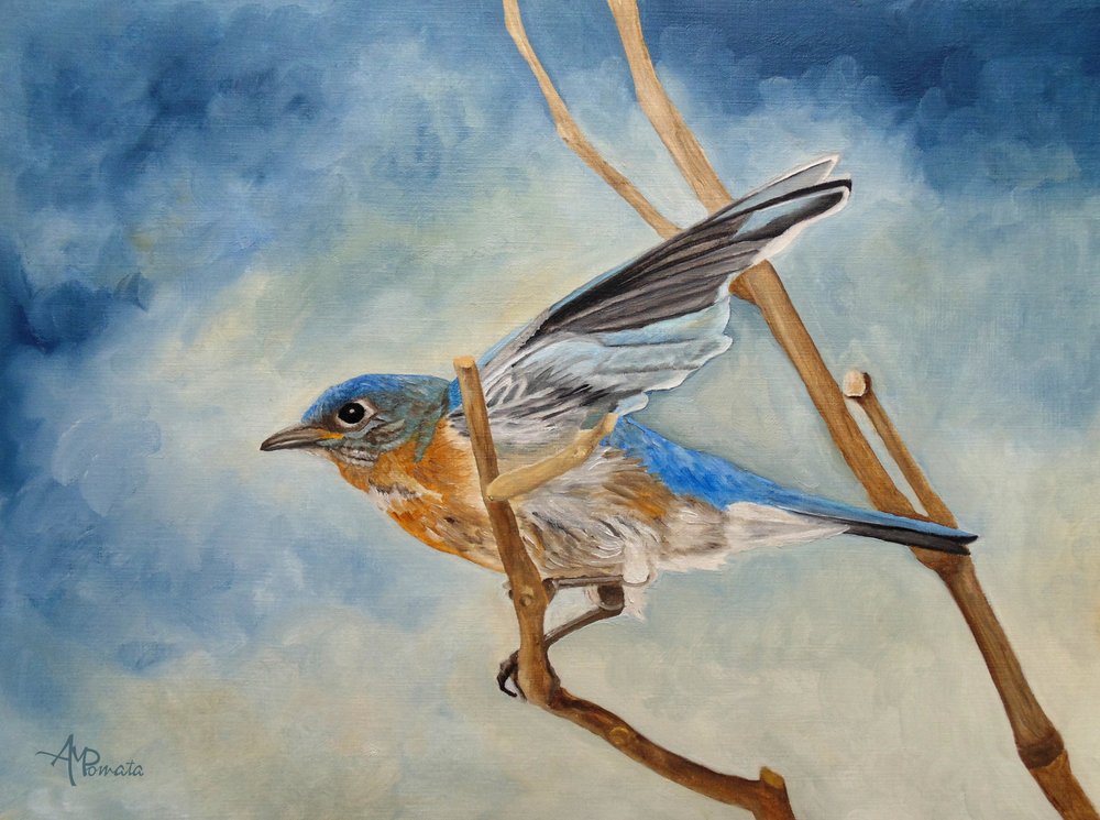  alkotó: Angeles M. Pomata