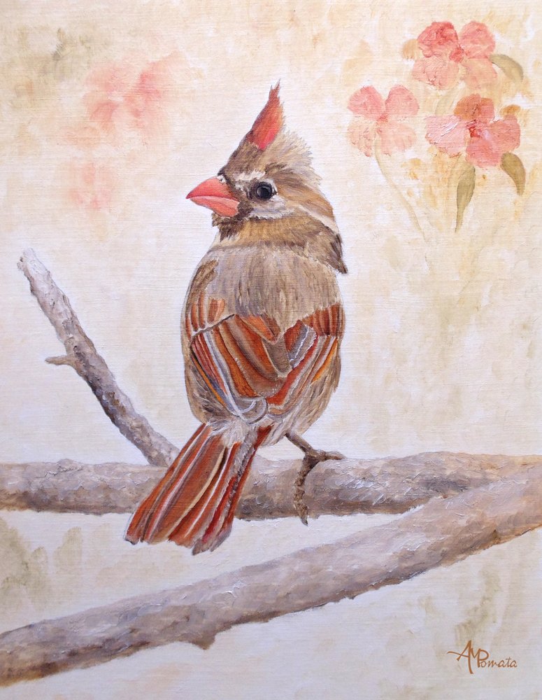  alkotó: Angeles M. Pomata