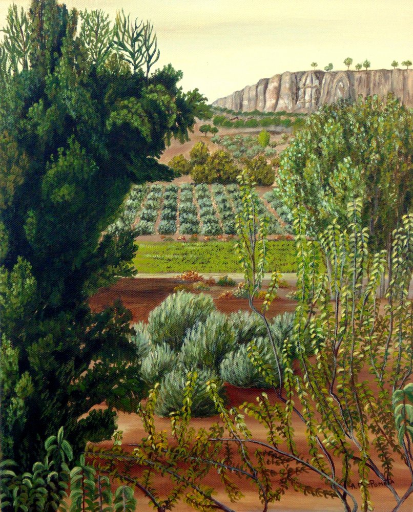  alkotó: Angeles M. Pomata