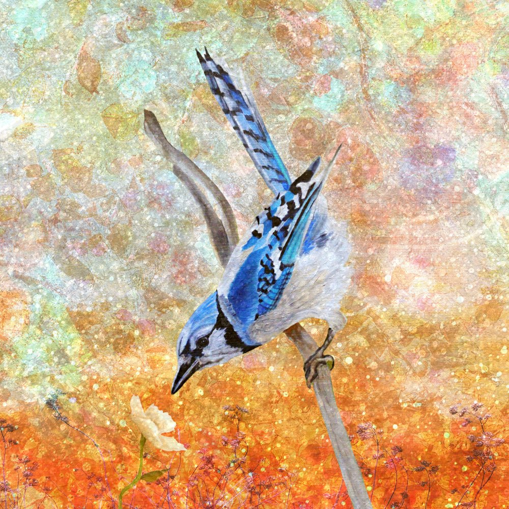  alkotó: Angeles M. Pomata