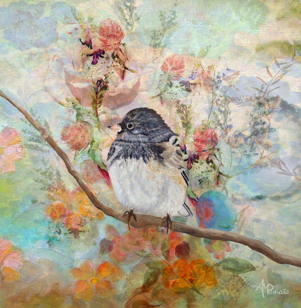  alkotó: Angeles M. Pomata