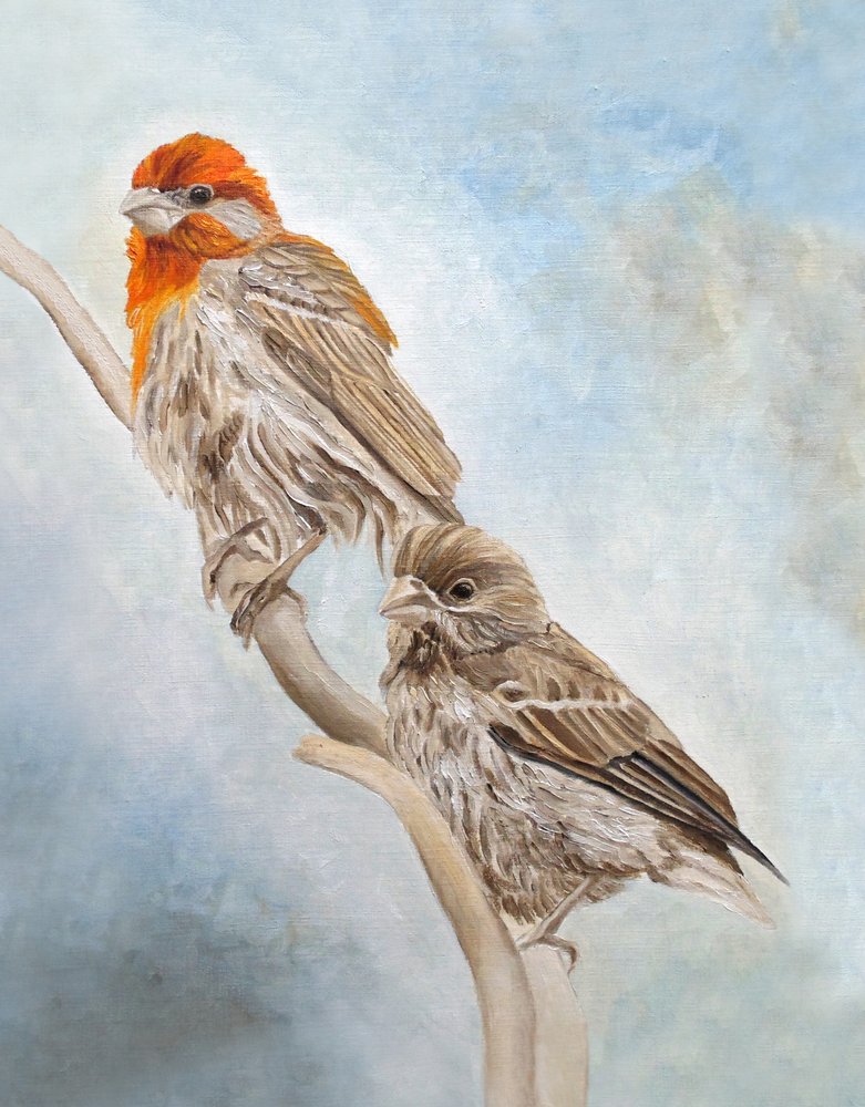  alkotó: Angeles M. Pomata