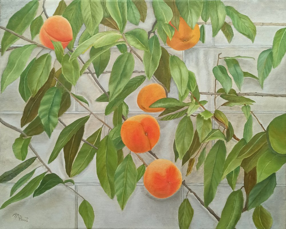  alkotó: Angeles M. Pomata
