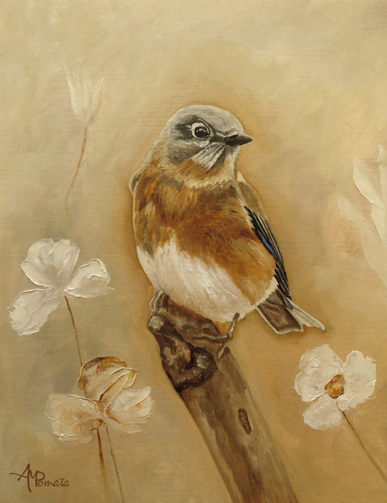  alkotó: Angeles M. Pomata