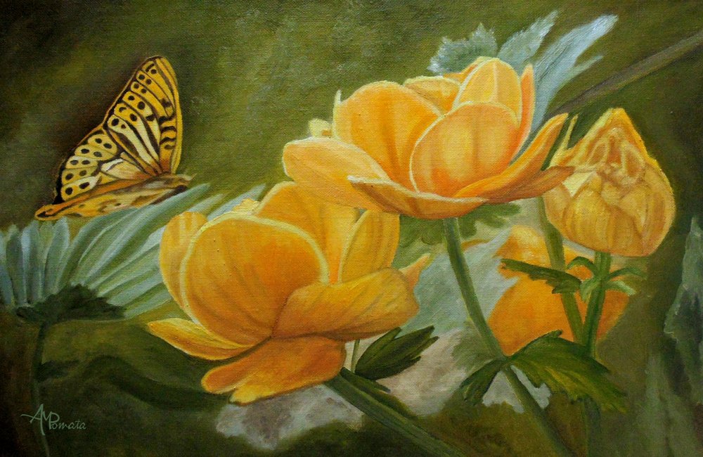  alkotó: Angeles M. Pomata